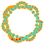 hipocicloide12.gif